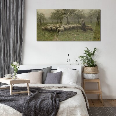 Tableau photo sur verre Des moutons paissent dans un paysage mystique