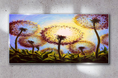 Tableau verre imprimé Pissenlits dorés au soleil