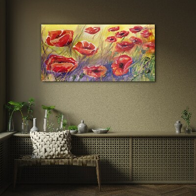Tableau imprimé sur verre Coquelicots rouges contre le soleil