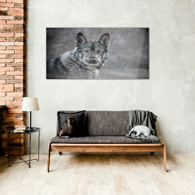 Tableau sur verre Portrait d'un chien gris