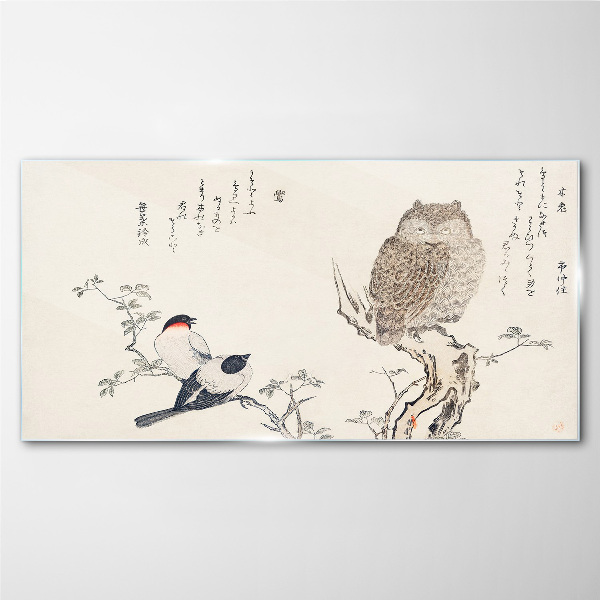 Tableau photo sur verre Des oiseaux et un hibou sur une branche