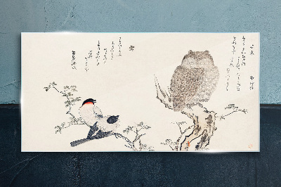 Tableau photo sur verre Des oiseaux et un hibou sur une branche