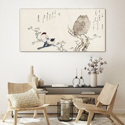 Tableau photo sur verre Des oiseaux et un hibou sur une branche