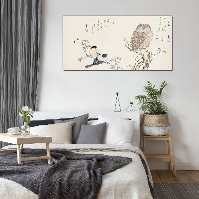 Tableau photo sur verre Des oiseaux et un hibou sur une branche