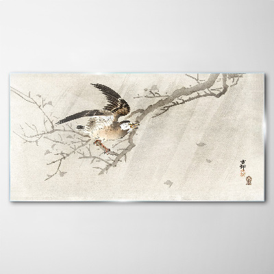 Tableau verre imprimé Un oiseau sur une branche