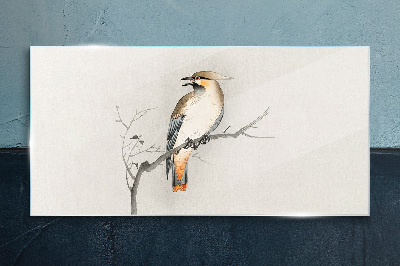 Tableau en verre Un oiseau chanteur sur une branche
