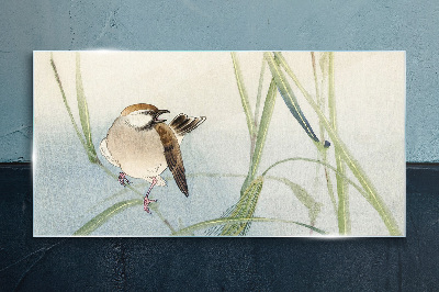 Tableau en verre Une mésange contre l'herbe