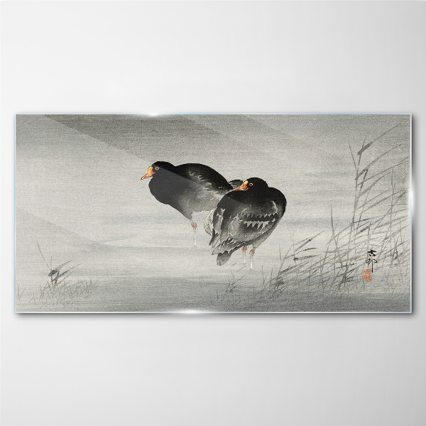 Tableau imprimé sur verre Deux canards sur une eau calme