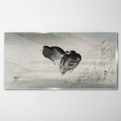 Tableau imprimé sur verre Deux canards sur une eau calme