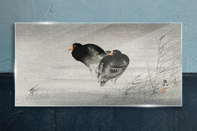 Tableau imprimé sur verre Deux canards sur une eau calme