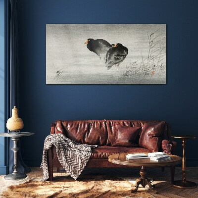 Tableau imprimé sur verre Deux canards sur une eau calme