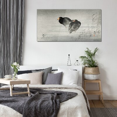 Tableau imprimé sur verre Deux canards sur une eau calme