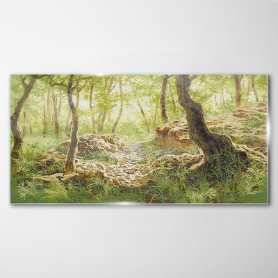 Tableau en verre Paysage de forêt verte avec des pierres