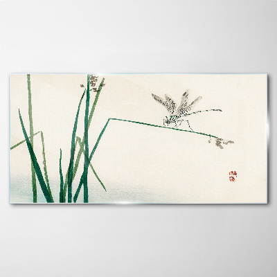 Tableau photo sur verre La délicatesse de la nature avec un papillon