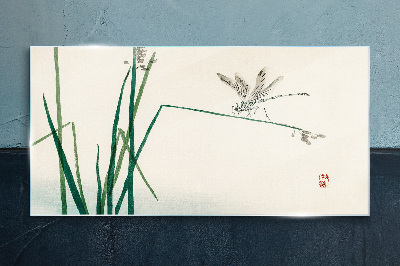 Tableau photo sur verre La délicatesse de la nature avec un papillon