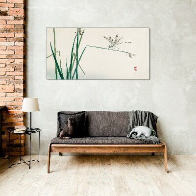 Tableau photo sur verre La délicatesse de la nature avec un papillon