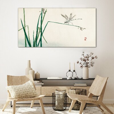 Tableau photo sur verre La délicatesse de la nature avec un papillon