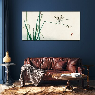 Tableau photo sur verre La délicatesse de la nature avec un papillon