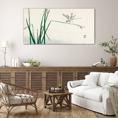 Tableau photo sur verre La délicatesse de la nature avec un papillon