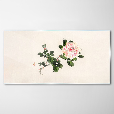 Tableau imprimé sur verre Fleur de pivoine sur fond clair