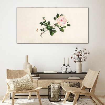 Tableau imprimé sur verre Fleur de pivoine sur fond clair