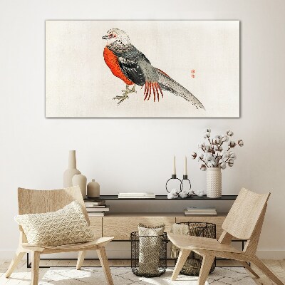 Tableau photo sur verre Un oiseau vivant aux couleurs de la nature