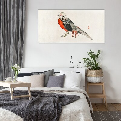 Tableau photo sur verre Un oiseau vivant aux couleurs de la nature