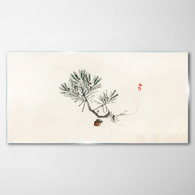 Tableau photo sur verre Pin sur fond blanc