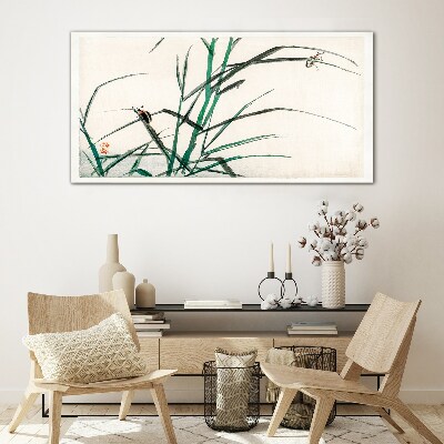 Tableau photo sur verre Graminées et insectes en harmonie
