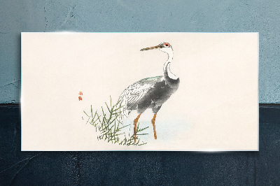 Tableau imprimé sur verre Cigogne noire sur fond d'herbe