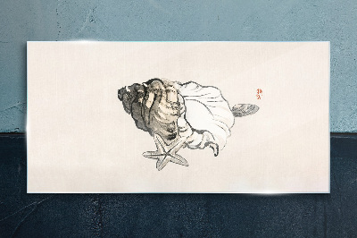 Tableau imprimé sur verre Coquille d'étoile de mer