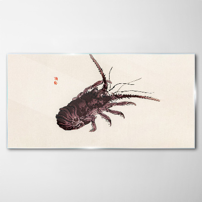 Tableau photo sur verre L'élégance de la crevette