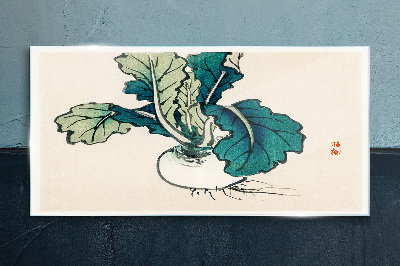 Tableau sur verre Radis vert sur fond clair