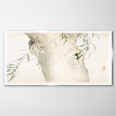 Tableau sur verre Une cigale sur une branche