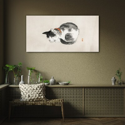 Tableau imprimé sur verre Chat endormi