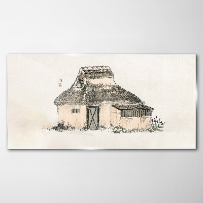 Tableau photo sur verre Maison de campagne avec un toit en herbe