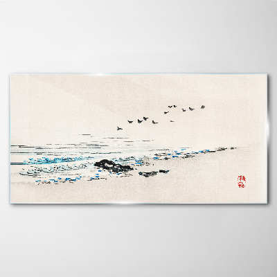 Tableau imprimé sur verre Une côte tranquille avec des oiseaux
