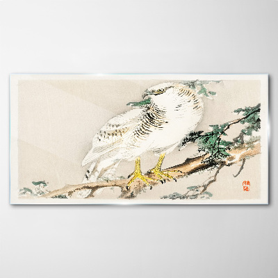 Tableau sur verre Faucon sur une branche