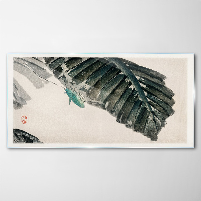 Tableau photo sur verre Un insecte mince sur les feuilles