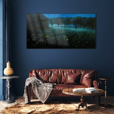 Tableau verre imprimé Lumières nocturnes dans la forêt