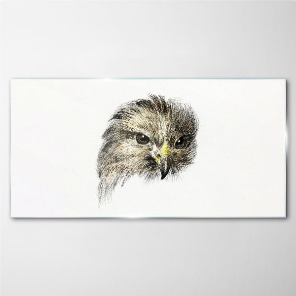 Tableau imprimé sur verre Portrait d'un oiseau de proie