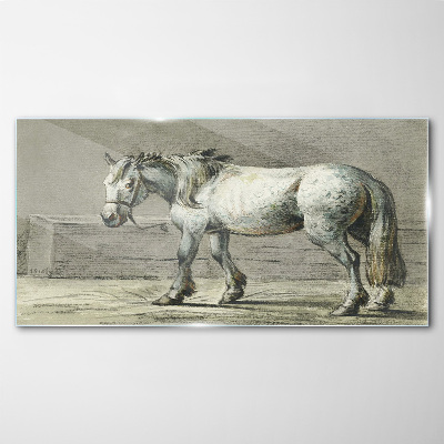 Tableau verre imprimé Un cheval qui marche dans des tons de gris