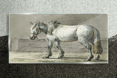 Tableau verre imprimé Un cheval qui marche dans des tons de gris