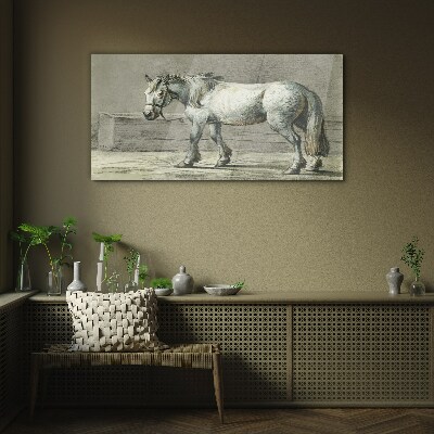 Tableau verre imprimé Un cheval qui marche dans des tons de gris