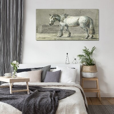 Tableau verre imprimé Un cheval qui marche dans des tons de gris