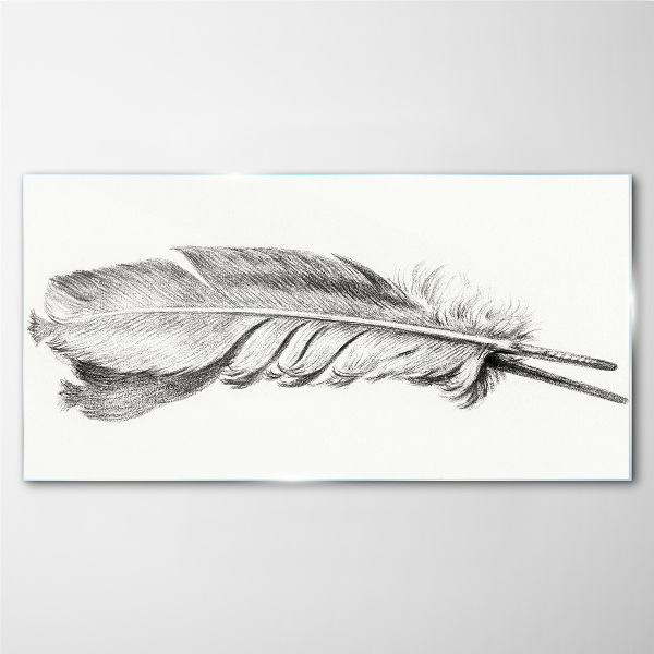 Tableau sur verre La délicatesse d'une plume sur fond blanc