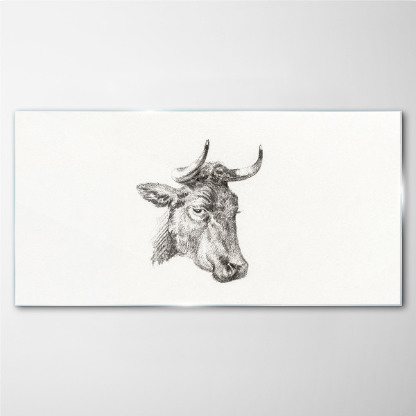 Tableau verre imprimé Portrait d'une vache sur fond blanc