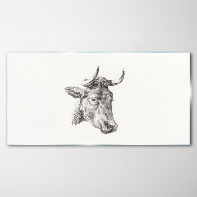 Tableau verre imprimé Portrait d'une vache sur fond blanc