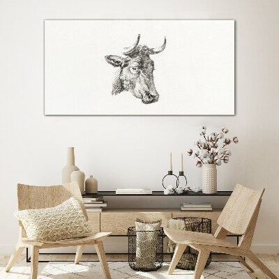 Tableau verre imprimé Portrait d'une vache sur fond blanc
