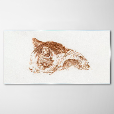 Tableau imprimé sur verre Le moment de sommeil d'un chat